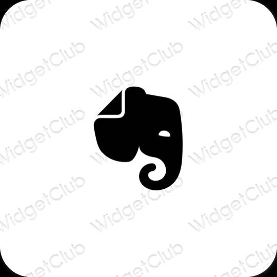 Aesthetic Evernote app icons