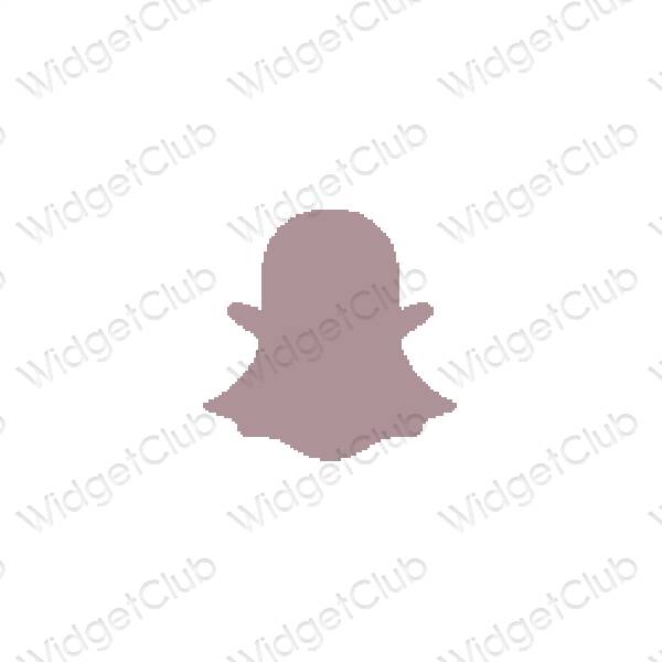 Aesthetic snapchat app icons