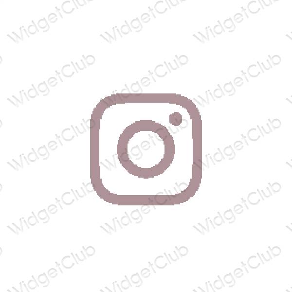 Esthetische Instagram app-pictogrammen