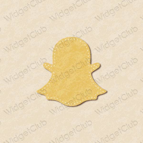 Icone delle app snapchat estetiche