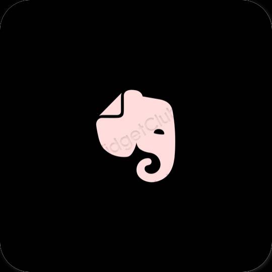 Estetický Černá Evernote ikony aplikací