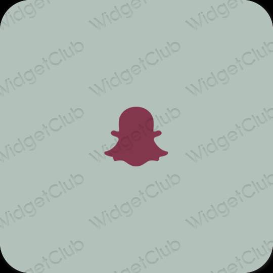 Естетичен зелено snapchat икони на приложения