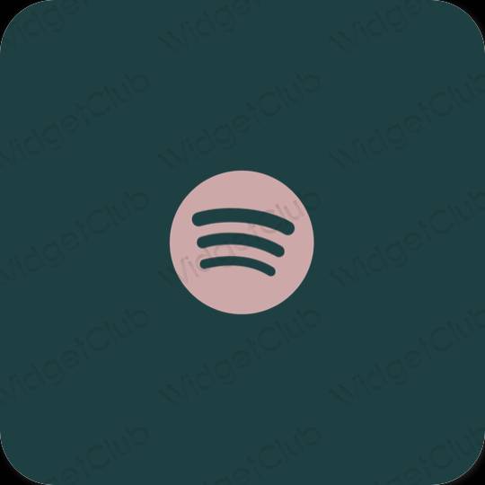 Естетске Spotify иконе апликација