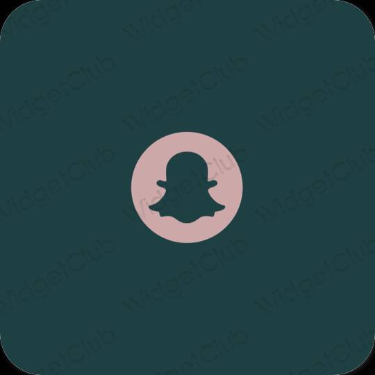 ไอคอนแอพ Aesthetic snapchat