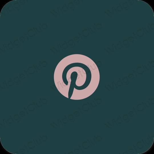 Icônes d'application Pinterest esthétiques