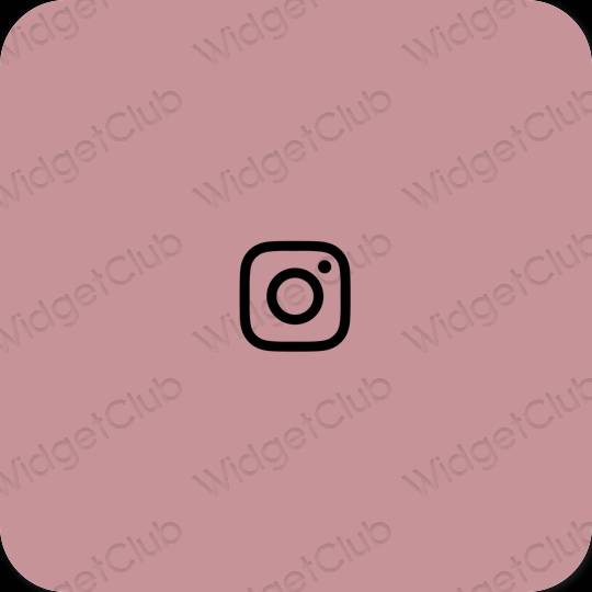 Esthetische Instagram app-pictogrammen