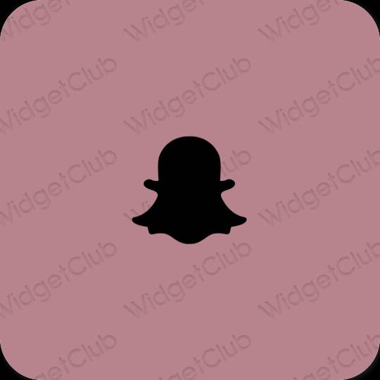 Pictograme pentru aplicații snapchat estetice