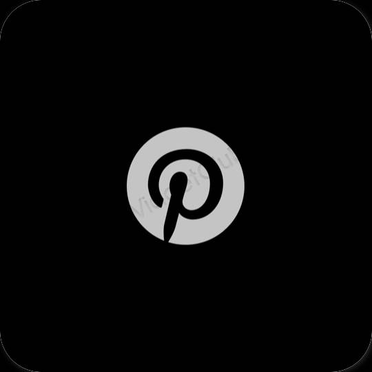 美学Pinterest 应用程序图标