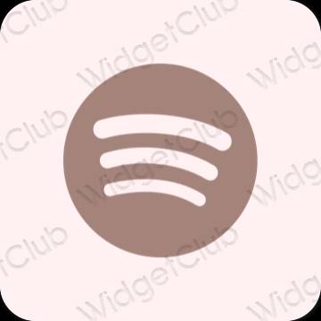 Esthetische Spotify app-pictogrammen