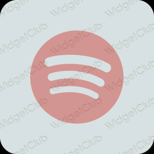 Esthetische Spotify app-pictogrammen