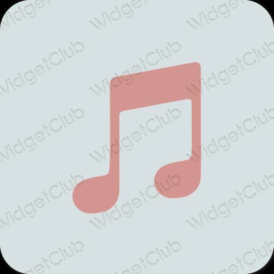 Esthetische Apple Music app-pictogrammen