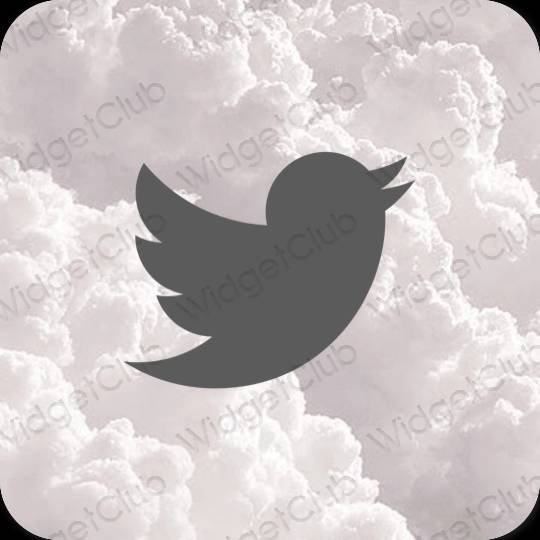 Icônes d'application Twitter esthétiques