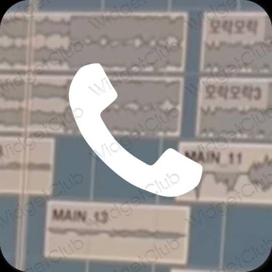 미적 Phone 앱 아이콘