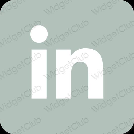 Estetico verde Linkedin icone dell'app