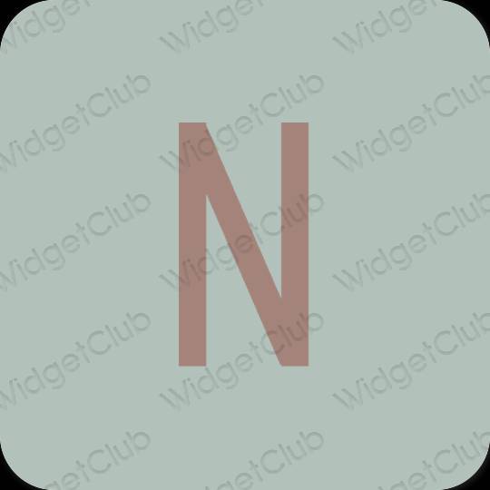 Estetico verde Netflix icone dell'app