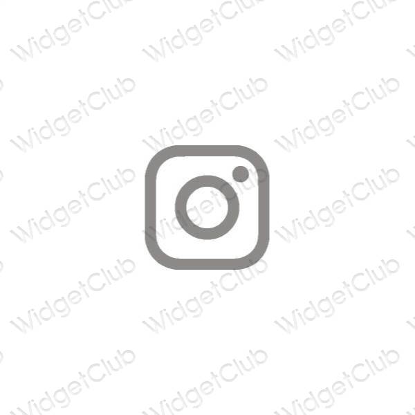 រូបតំណាងកម្មវិធី Instagram សោភ័ណភាព