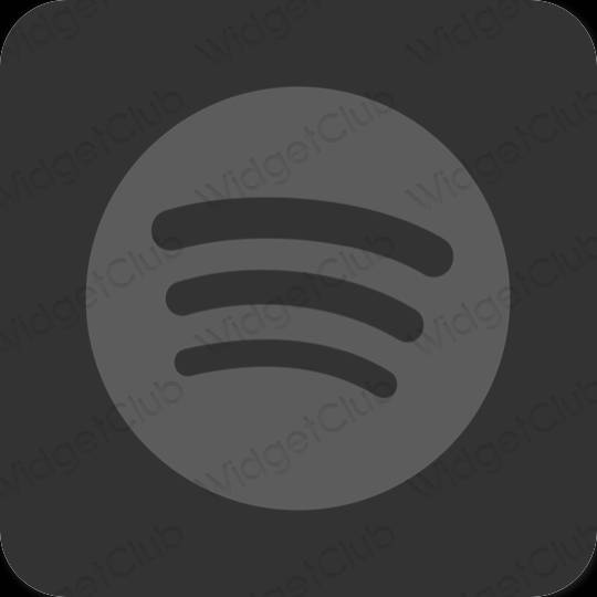 Ästhetische Spotify App-Symbole