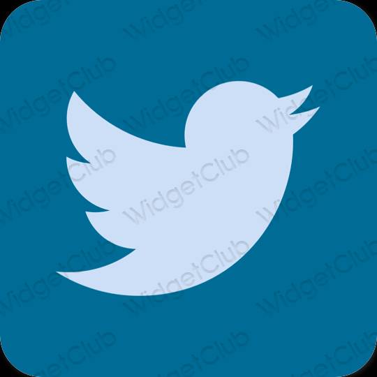 Esztétika kék Twitter alkalmazás ikonok