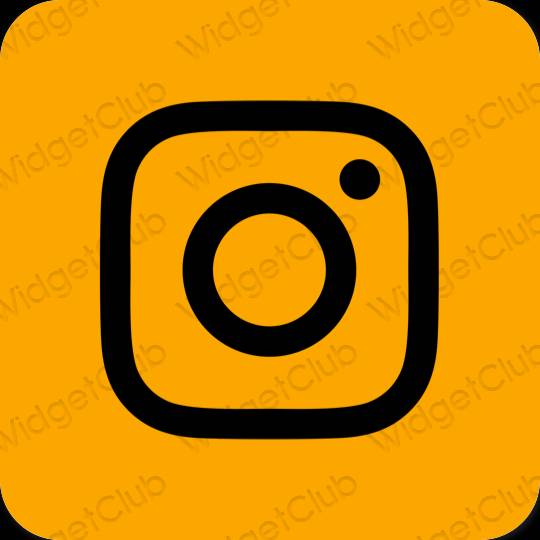 審美的 橘子 Instagram 應用程序圖標