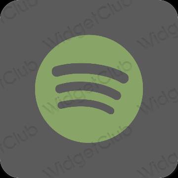 Aesthetic gray Spotify app icons