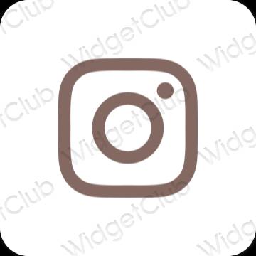 Æstetiske Instagram app-ikoner