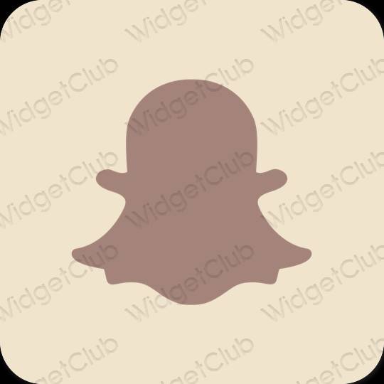 審美的 淺褐色的 snapchat 應用程序圖標