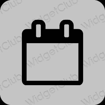 Estético gris Calendar iconos de aplicaciones