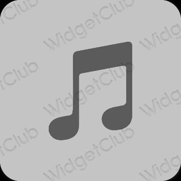 эстетический серый Apple Music значки приложений