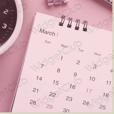 Pictograme pentru aplicații Calendar estetice