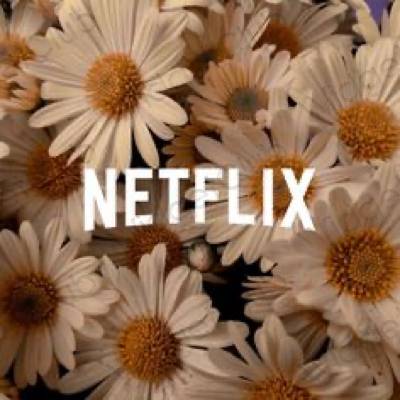 美学Netflix 应用程序图标