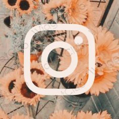 រូបតំណាងកម្មវិធី Instagram សោភ័ណភាព