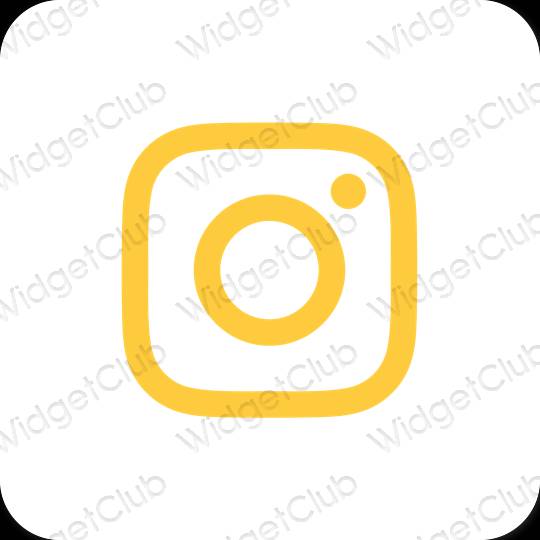 Icônes d'application Instagram esthétiques