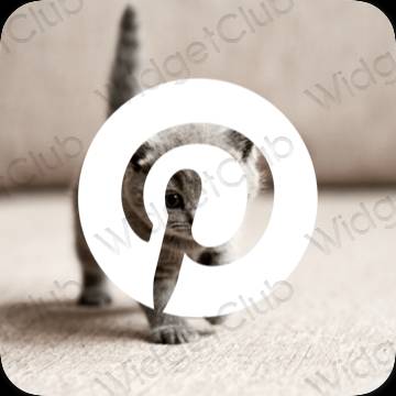 រូបតំណាងកម្មវិធី Pinterest សោភ័ណភាព