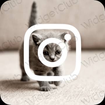 រូបតំណាងកម្មវិធី Instagram សោភ័ណភាព