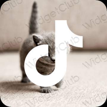 រូបតំណាងកម្មវិធី TikTok សោភ័ណភាព
