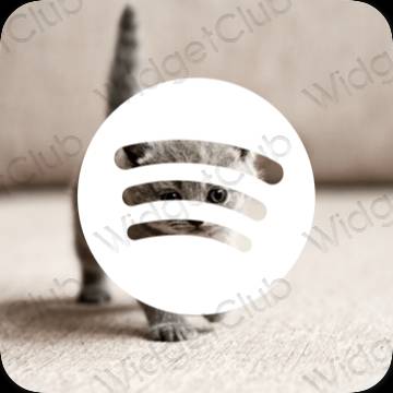 រូបតំណាងកម្មវិធី Spotify សោភ័ណភាព