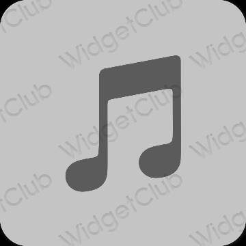 Estetico grigio Apple Music icone dell'app