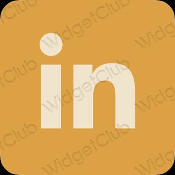 Aesthetic brown Linkedin app icons