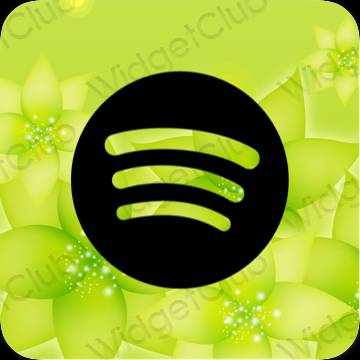 រូបតំណាងកម្មវិធី Spotify សោភ័ណភាព
