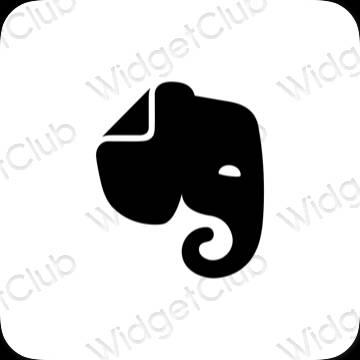 Pictograme pentru aplicații Evernote estetice