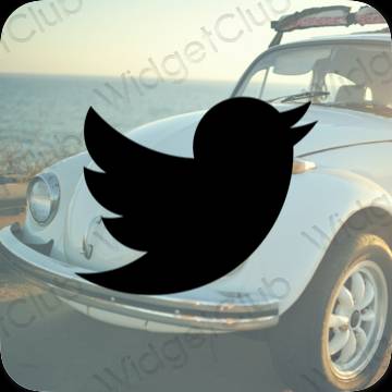រូបតំណាងកម្មវិធី Twitter សោភ័ណភាព