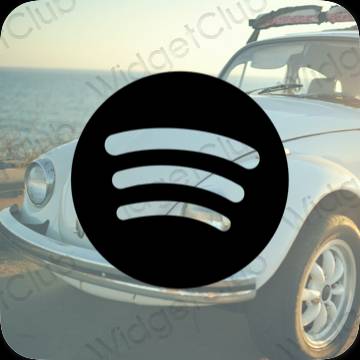រូបតំណាងកម្មវិធី Spotify សោភ័ណភាព