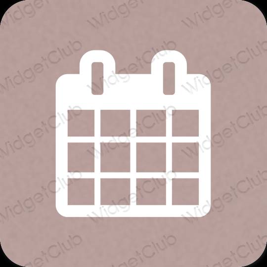 Естетичні Calendar значки програм