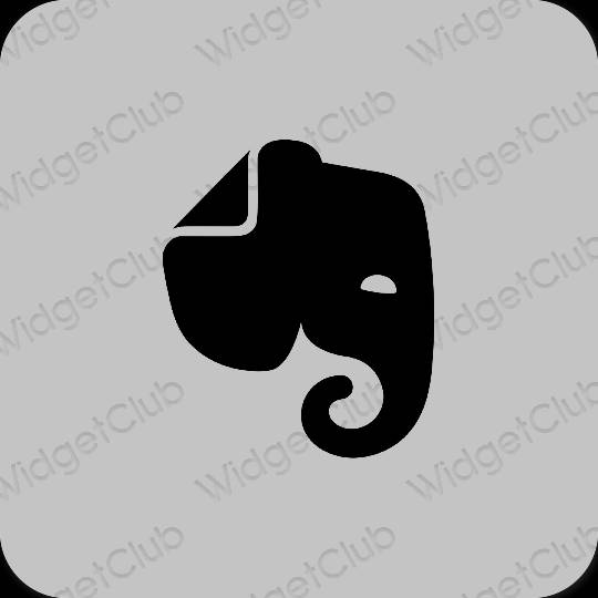 Estetico grigio Evernote icone dell'app