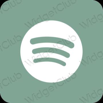 Ästhetische Spotify App-Symbole