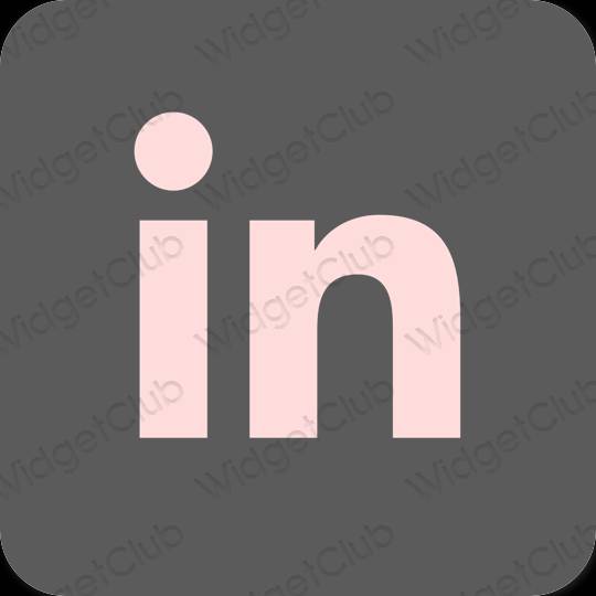 Естетски сива Linkedin иконе апликација