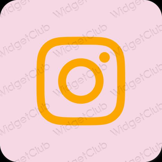 Esthetische Instagram app-pictogrammen