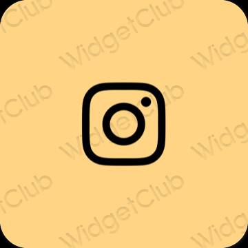 Estetic maro Instagram pictogramele aplicației