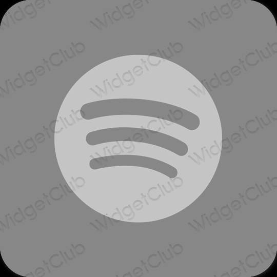 Esthetische Spotify app-pictogrammen