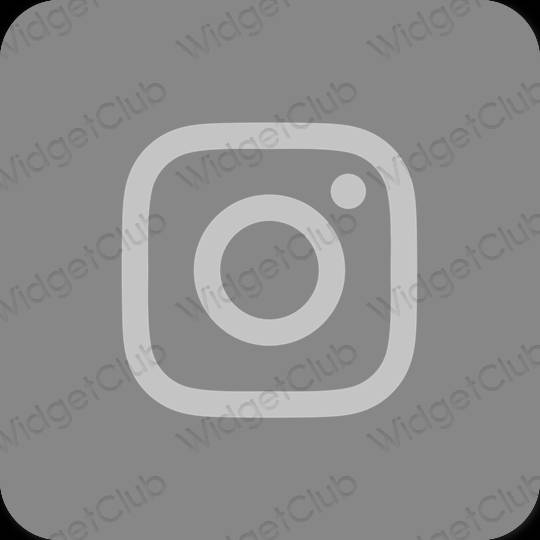 Esthetische Instagram app-pictogrammen